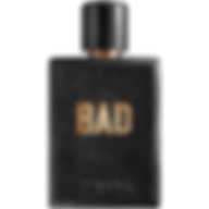 Diesel Bad Edt 75ml for Men