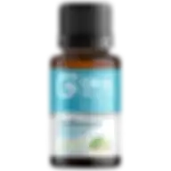 Great Oral Health Orarestore Bad Breath Treatment For Adults Halitosis 15ml