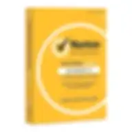 Norton Antivirus Basic Yellow